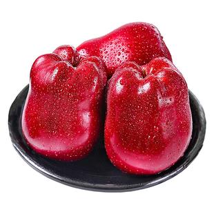 甘肃天水花牛苹果10斤新鲜水果整箱包邮糖心当季红蛇粉面平果丑果