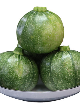 滇鲜生云南新鲜蔬菜小圆瓜