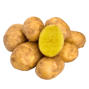 【25年新土豆】内蒙武川沙面土豆黄心洋芋乌兰察布马铃薯辅食土豆