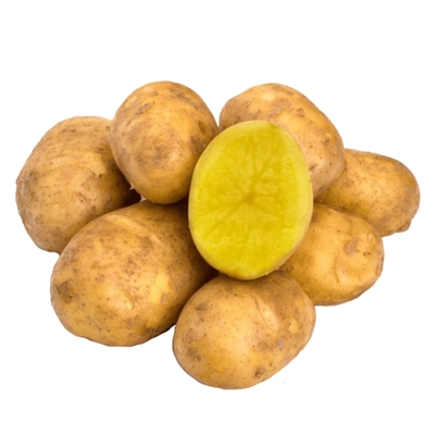 【25年新土豆】内蒙武川沙面土豆黄心洋芋乌兰察布马铃薯辅食土豆