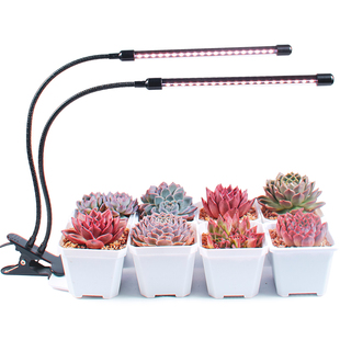 贵翔 USB夹子式植物补光灯生长灯全光谱仿太阳光灯绿植灯光照多肉