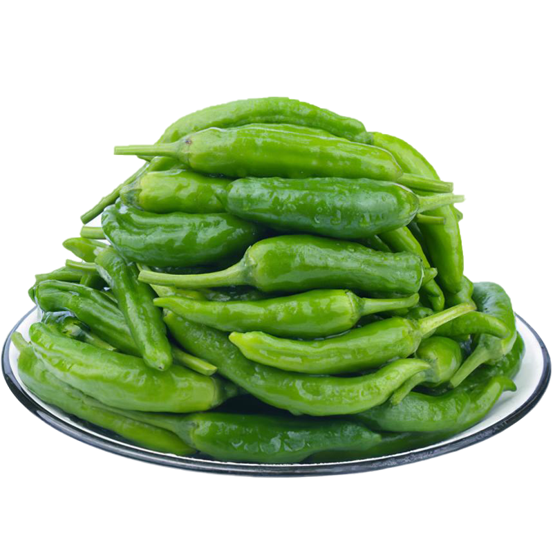 顺丰现货！湖南樟树农家辣椒