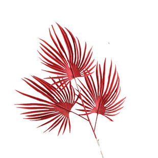 仿真棕榈叶红色金雨叶扇葵树叶蒲葵扇叶单支插花花艺吊顶装饰假花