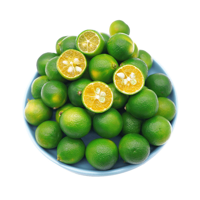 现摘海南小金桔新鲜青金桔水果当季皮薄小青柠桔金橘奶茶饮品专用