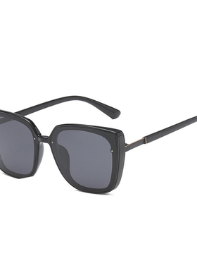 欧美太阳镜ins韩版潮偏光大脸