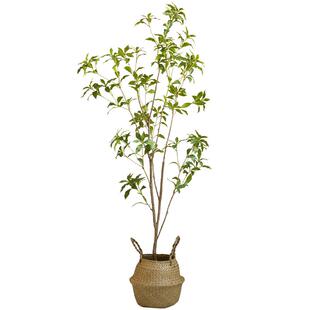 高级感马醉木仿真植物假树客厅盆栽绿植大型落地摆设服装店装饰品