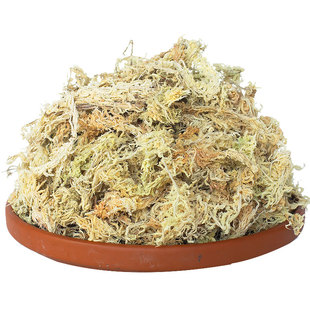 干苔藓兰花保湿绿苔水草专用铺面保湿石斛专用保湿草植料种植土薹