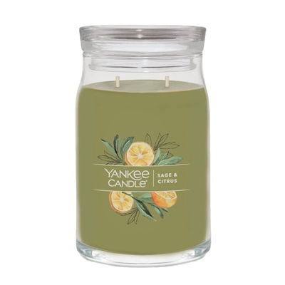 美国假日香橘杨洋citrus蜡烛