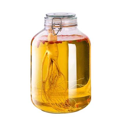泡酒神器！密封泡酒瓶
