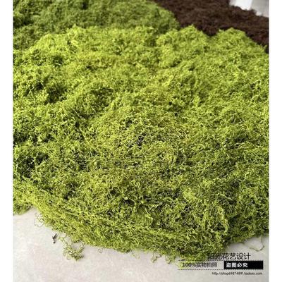 仿真苔藓室外青苔diy人造苔藓草坪草皮假藓绿植装饰造景盆景铺面