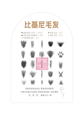 小花园养护系列美容会所比基尼