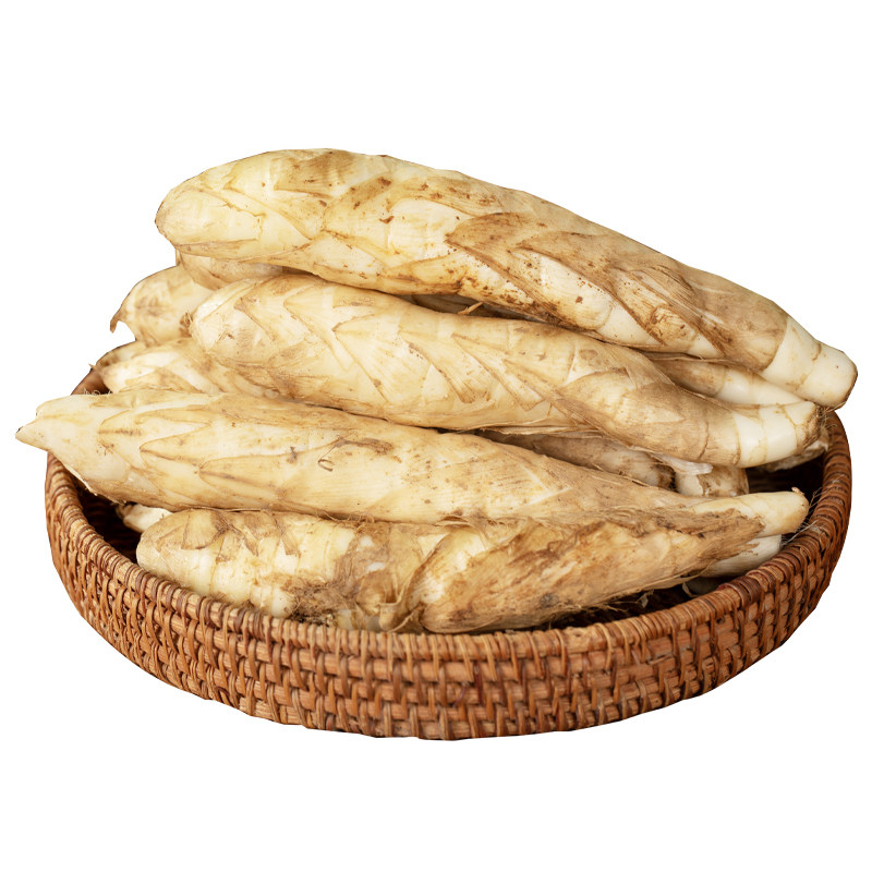 正宗高州竹薯新鲜现挖冬粉薯竹芋应季冬笋蔬菜火锅煲汤食材包邮