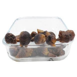 野生榛蘑干货东北特产野生榛蘑菇特级天然无根小鸡炖蘑菇500g新货