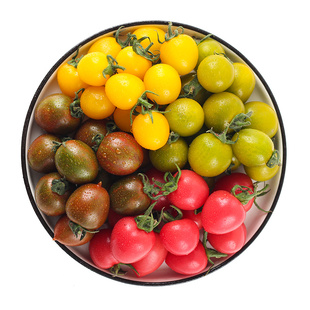【小番茄组合】澳农卡圣女果新鲜小番茄西红柿夏日阳光清甜2/4斤