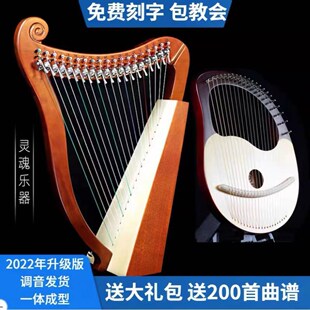 。竖琴初学者古风箜篌小众易学学生便携式里拉琴19弦 23弦
