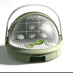 蚕宝宝活体蚕卵蚕籽学生养蚕套装春蚕蚕种幼蚕1龄234龄送新鲜桑叶