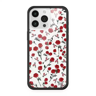 Wildflow壳联名Itsy Bitsy Spider小蜘蛛适用苹果17Pro小幽灵Boo壳iPhone16/15/14/13ProMax/plus防摔保护