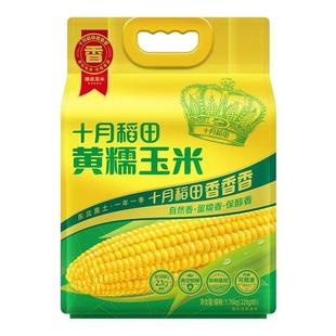 25年新玉米十月稻田黄糯玉米白黑糯玉米低脂早餐东北苞米真空旗舰