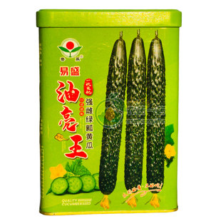 油亮王强雌绿瓤黄瓜种子种籽把短瓜色油绿心腔小刺瘤中等长34厘米