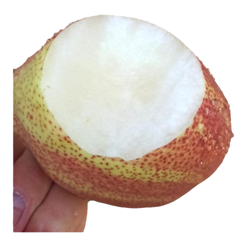 【梨中贵族】彩虹梨新鲜水果酥脆