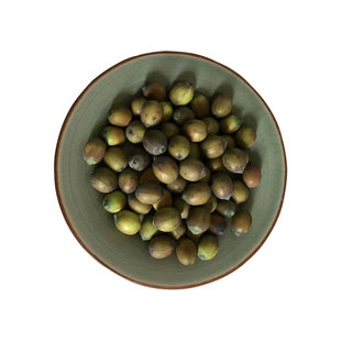 新鲜成熟莲子 酱色莲子米4斤包邮 带壳老莲子 现摘无莲蓬褐色莲子