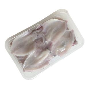 北海笔管鱿鱼活冻海鲜比管芥末白灼火锅新鲜杀好冷冻海兔片尤鱼卷