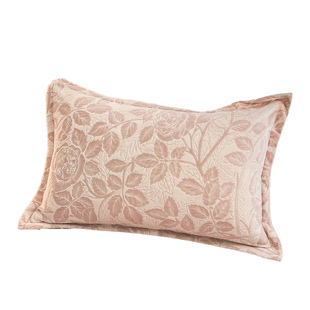 高级感牛奶绒枕套一对装48cmx74cm冬季加绒枕头套单个枕芯内胆套