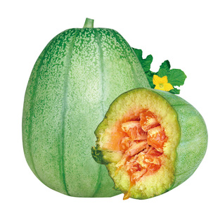 甜瓜种子大全甜掉牙四季高产水果种籽超甜羊角蜜种子香瓜面瓜种孑