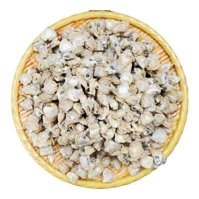 苏北无盐河蚬子肉新鲜现剥无沙0添加蚬子炒菜烧汤蛤蜊无冰衣嘎啦