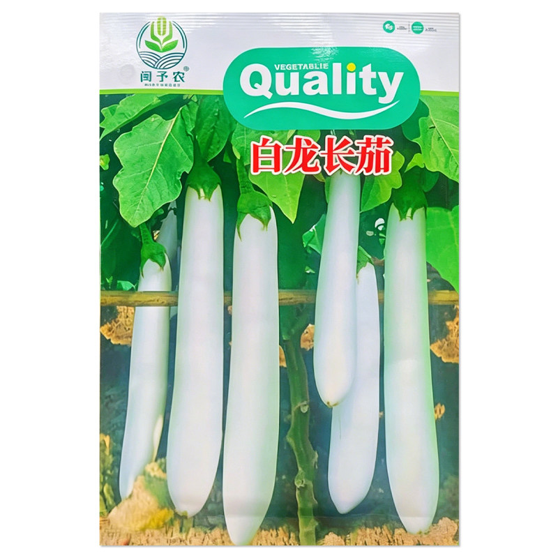 白龙长茄种子农家蔬菜种子