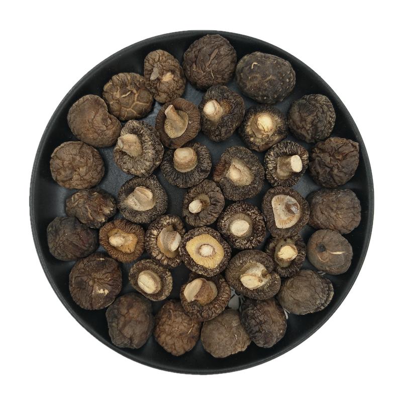 小香菇干货特级小蘑菇商用金钱菇