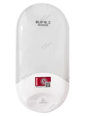 敏华电工拿斯特36V220V椭圆防水应急壁灯壁挂IP67疏散消防应急灯