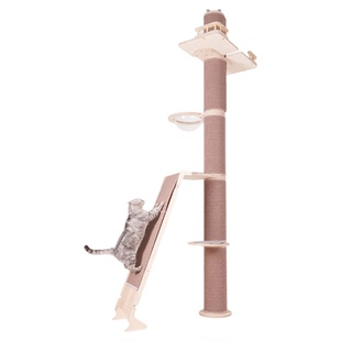 超稳缅因大体猫小蛮腰通天柱猫树猫爬架超粗柱体实木猫通天柱