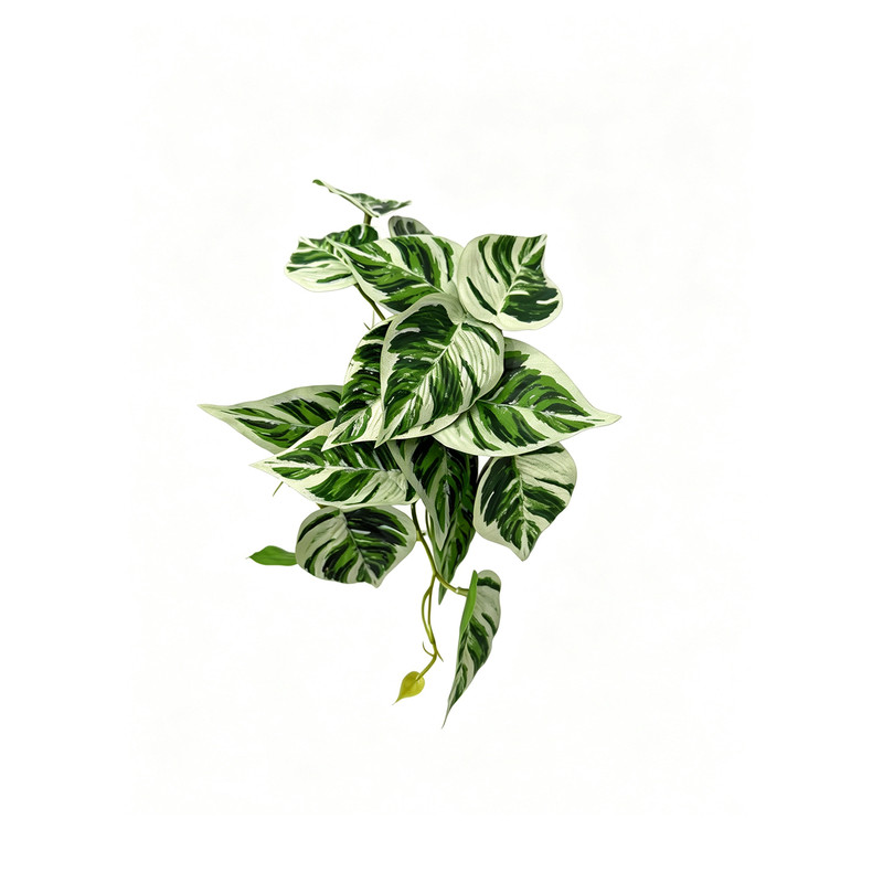 爬宠仿真植物造景睫角守宫蜥蜴树蛙仿真吸盘树叶饲养箱玻璃缸造景