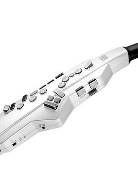 Roland罗兰电吹管初学者