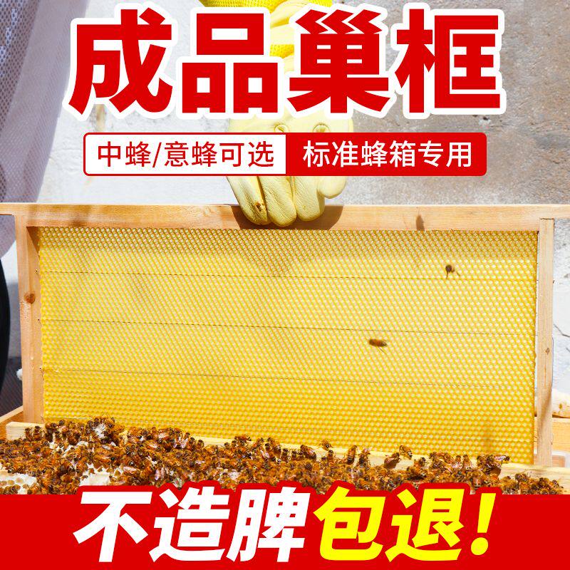 成品巢框中意蜂巢皮蜂巢框架标准杉木蜂框加巢础全套蜂具蜂蜜槽框