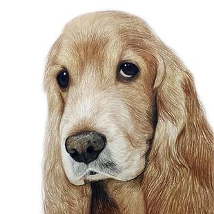 宠物画像定制狗狗肖像画头像照片纪念手绘素描画像彩铅代画原创