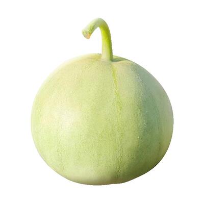 【2026顺丰】正宗马连庄甜瓜山东甜瓜甜宝甜瓜脆甜孕妇新鲜水果