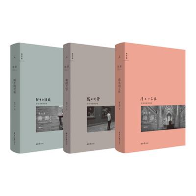 局部1-3套装陈丹青陌生的经验