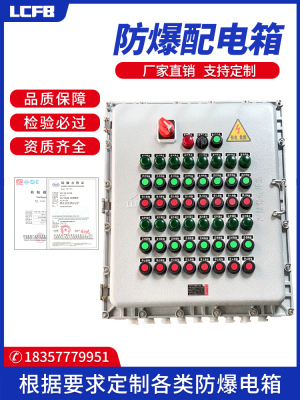 促防爆配电箱控制箱不锈钢防爆触摸屏配电柜仪表接线检修照明插库