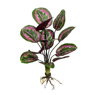 仿真彩芋叶植物摆件彩虹/青苹果/箭羽竹芋客厅桌面装饰绿植假盆栽