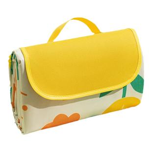 野餐垫防潮垫防水加厚可折叠户外露营音乐节草坪垫子帐篷沙滩地垫