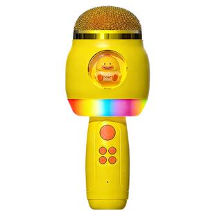 正品儿童唱歌小话筒宝宝麦克风音响一体机回声益智玩具岁生日礼物
