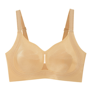 HR赫莲娜「小闪纱」猫爪杯大胸显小内衣女提拉收副乳防下垂文胸