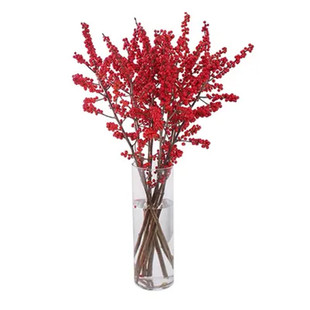 精品北美冬青鲜切花枝鲜花束红果果水培水养植物室内年宵花卉真花