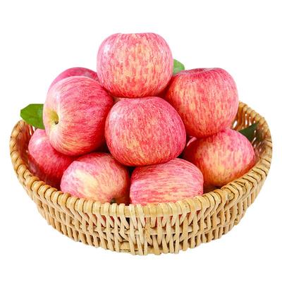 新鲜烟台红富士苹果津果鲜冰糖心