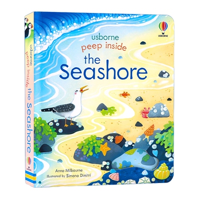 英文原版 Peep Inside the seashore 揭秘海滩 儿童启蒙纸板翻翻书 偷偷看里面系列 英文版 进口英语原版书籍