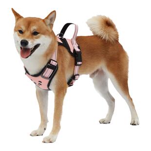 狗狗背心式牵引绳中大型犬熊猫胸背柴犬拉布拉多狗绳防挣脱遛狗绳