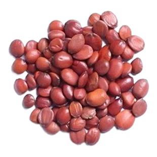 【河北原产地】野生酸枣仁正品药材正宗磨粉搭百合茯苓官方旗舰店