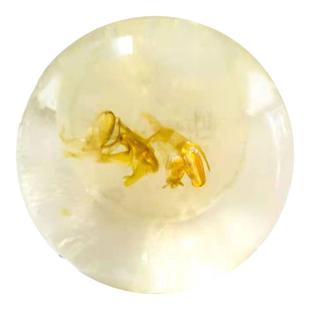 3块独步之君石斛净螨氨基酸皂洗澡沐浴男女清洁身体